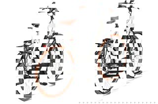 artPic_public_L_3903880.jpg