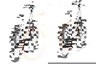 artPic_public_L_3903880.jpg