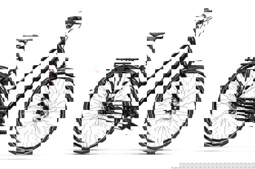 artPic_public_L_3765826.jpg