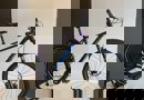 artPic_public_L_3954928.jpg