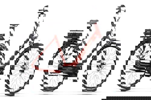 artPic_public_L_3755118.jpg