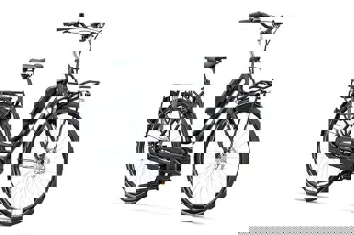 artPic_public_L_3681516.jpg