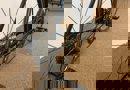 artPic_public_L_3778374.jpg