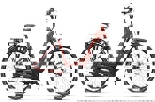 artPic_public_L_3648450.jpg