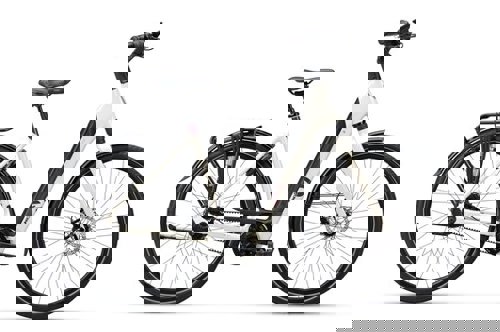 artPic_public_L_3789826.jpg