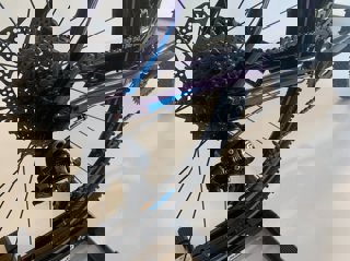 artPic_public_L_3954924.jpg