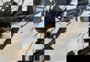 artPic_public_L_3954924.jpg