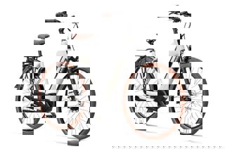 artPic_public_L_3903846.jpg