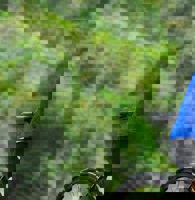 Apparel Img Herobanner D