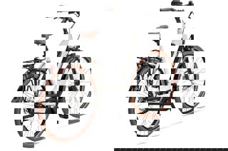 artPic_public_L_3903848.jpg