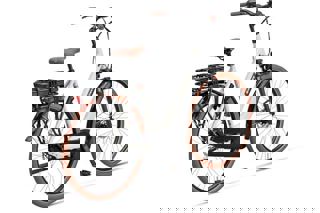 artPic_public_L_3942396.jpg