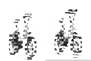 artPic_public_L_3828076.jpg